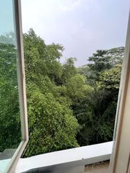Le Hill Condominium (D5), Condominium #625583281